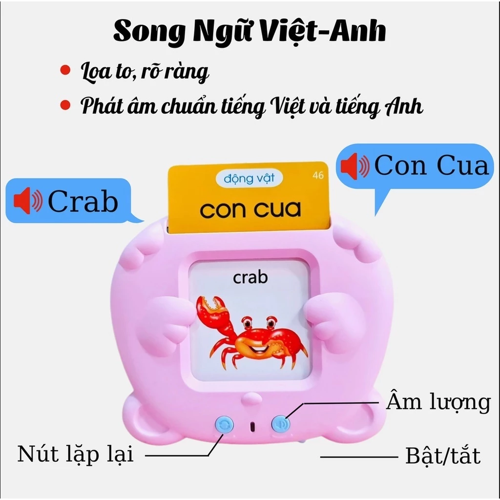 41. máy đọc flashcard vn 11134207 7r98o m05c2d2b0pe7f8