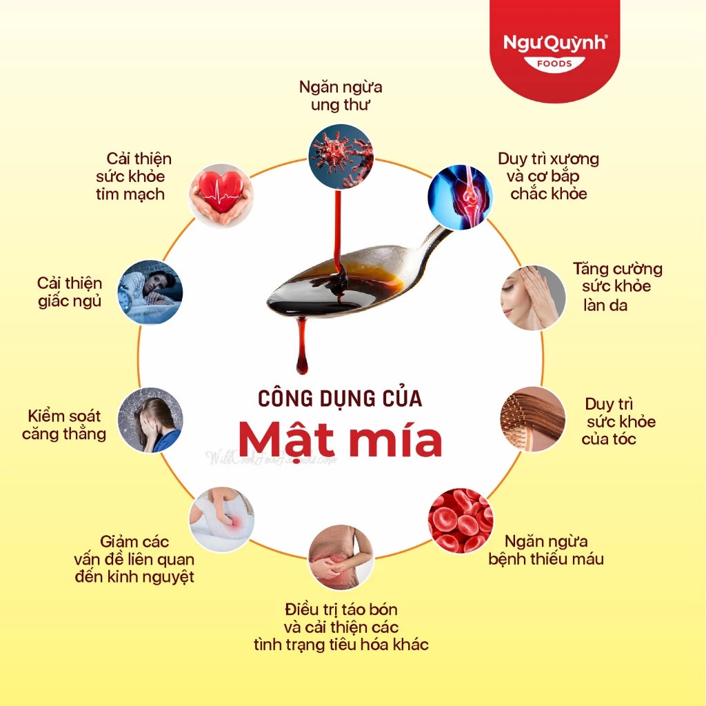 46. mật mía như quỳnh vn 11134207 7r98o lnfliyzhk1rhbc